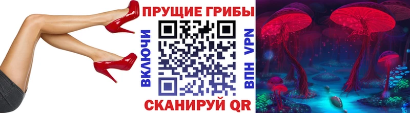Псилоцибиновые грибы мицелий  Алапаевск 