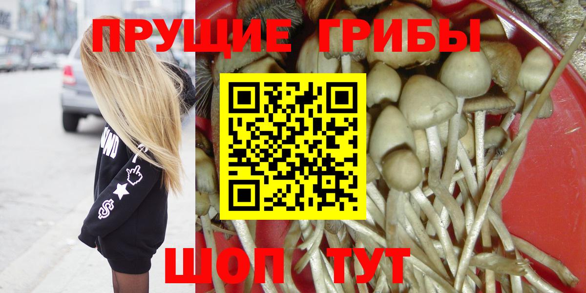 Галлюциногенные грибы Psilocybe  Вход с VPN  Алапаевск 